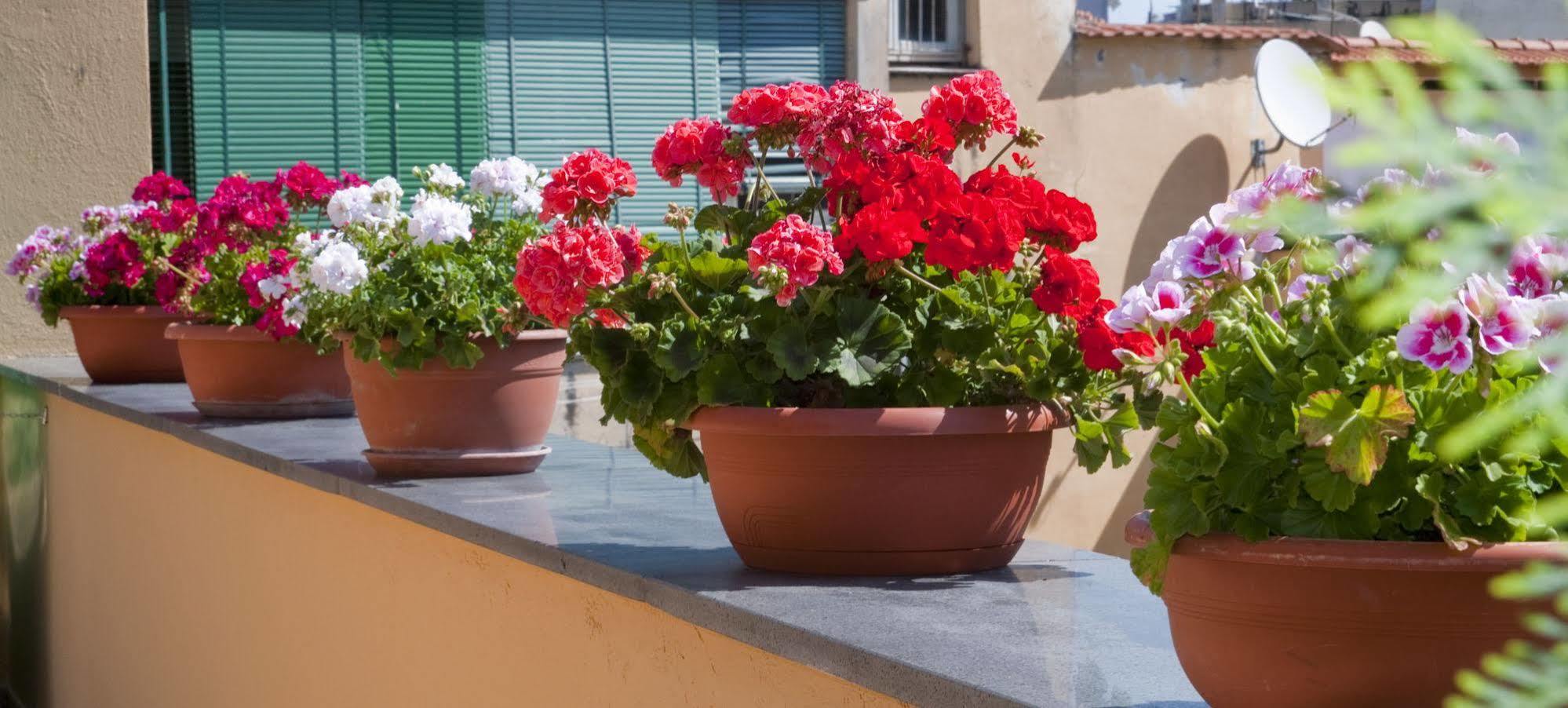 Tetto Fiorito Apartment Castellammare di Stabia Exterior photo